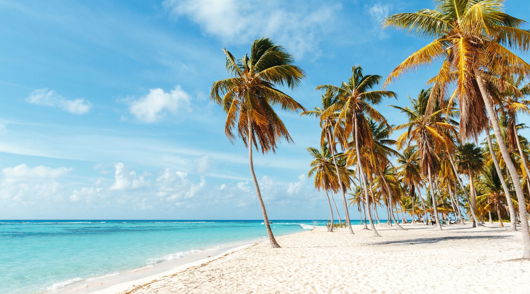 25 of the Best Caribbean Beaches