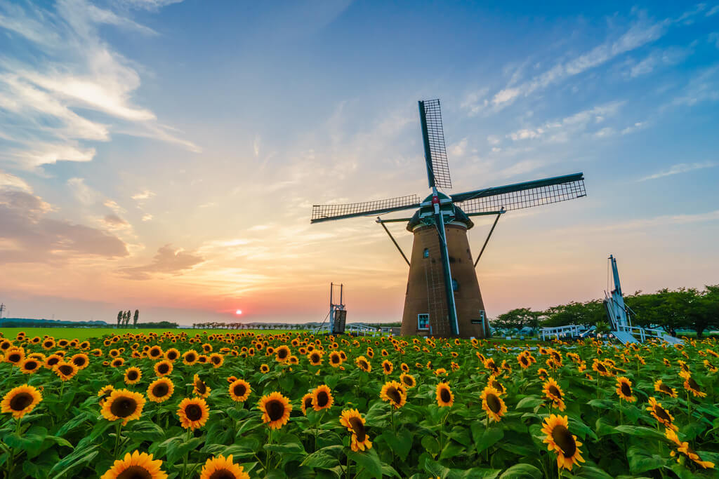 Six Famous Old Windmills Around the World