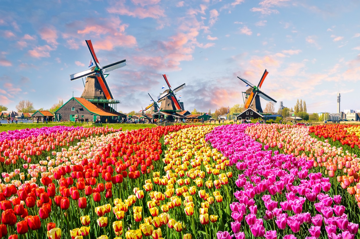 Ten Top Dutch Tourist Attractions